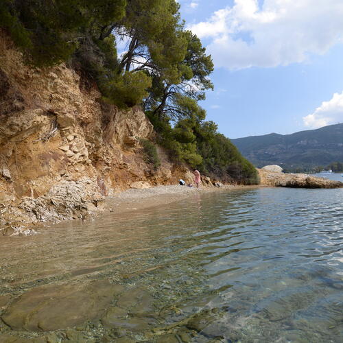 Photo #13955996
