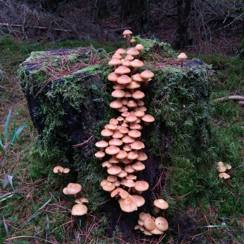 Photo #13956007