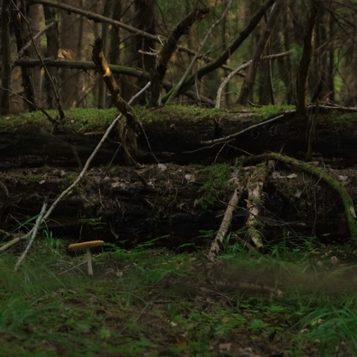 Photo #13956022