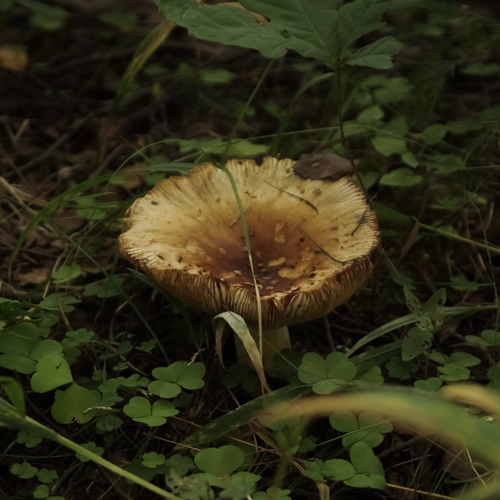 Photo #13956024
