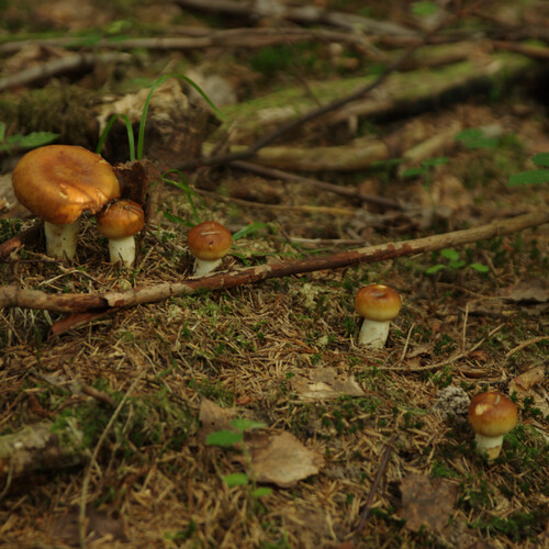 Photo #13956026