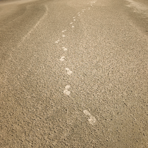 Photo #13956070