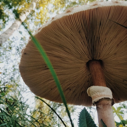 Photo #13956170