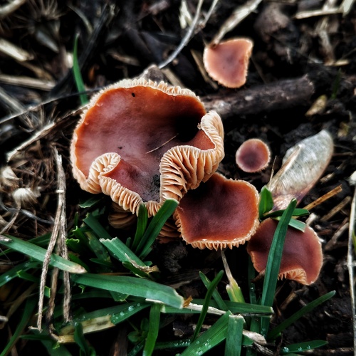 Photo #13956171