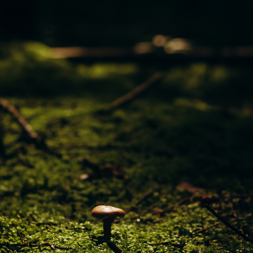 Photo #13956298