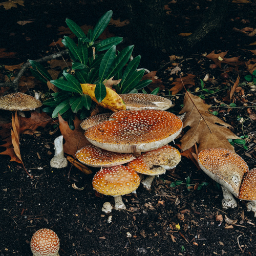 Photo #13956369