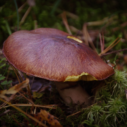 Photo #13956411