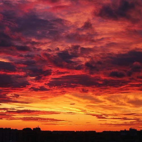 Photo #13956505