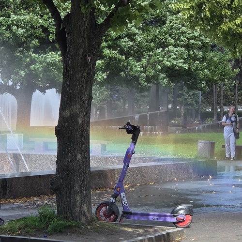 Photo #13956608