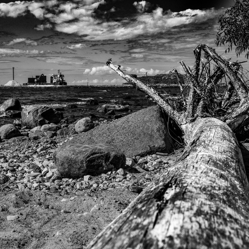 Shadows of the Tide