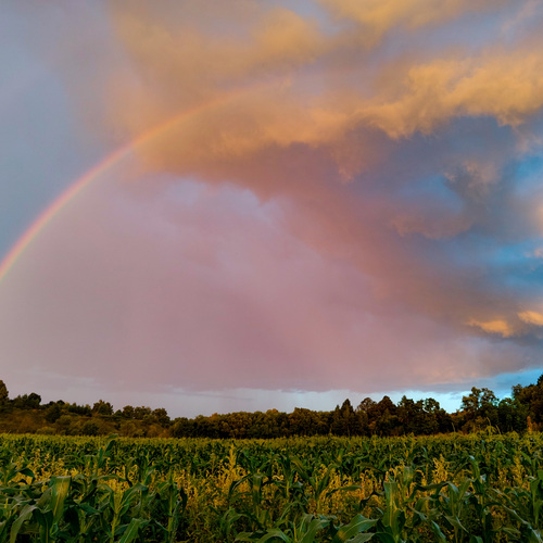 Photo #13956767