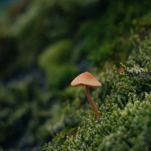 Photo #13956768