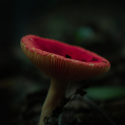 Photo #13956770