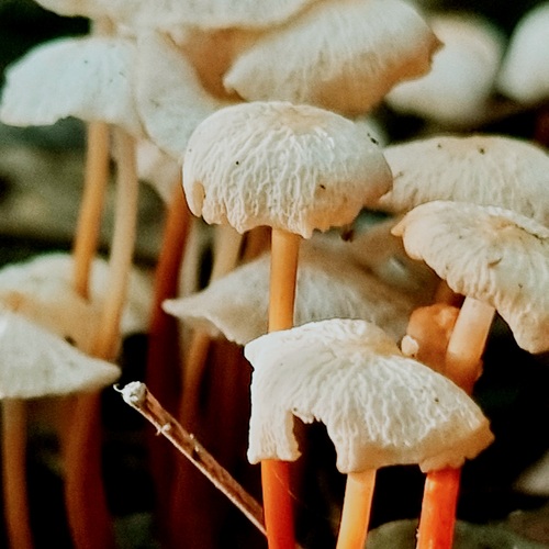 Photo #13957127