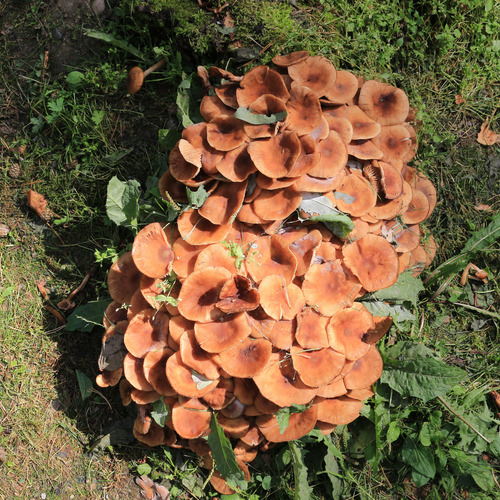 Photo #13957176