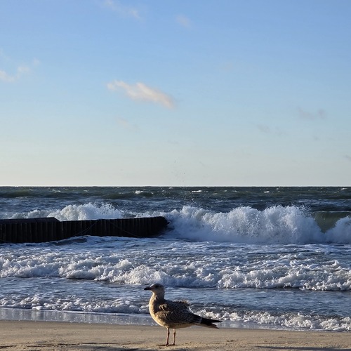 Photo #13957181