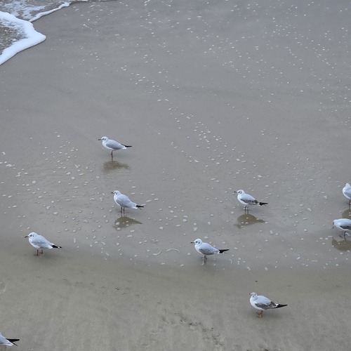Photo #13957182