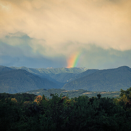 Photo #13957189