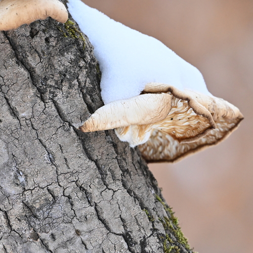 Photo #13957202