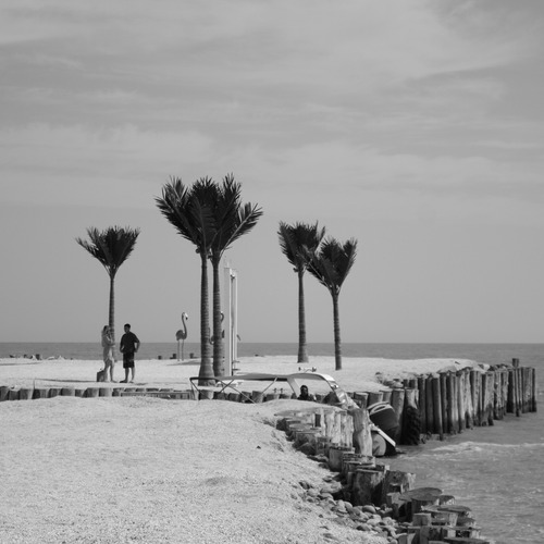 Photo #13957229