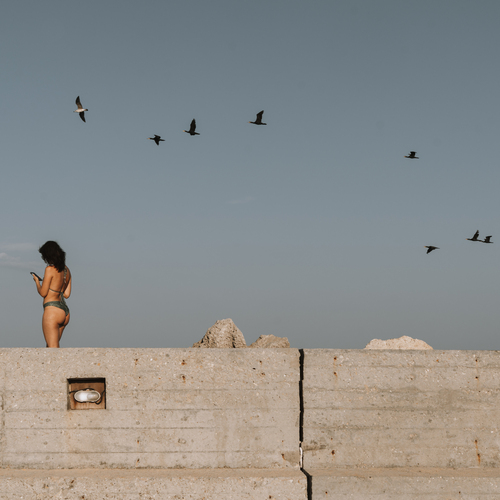 Photo #13957307