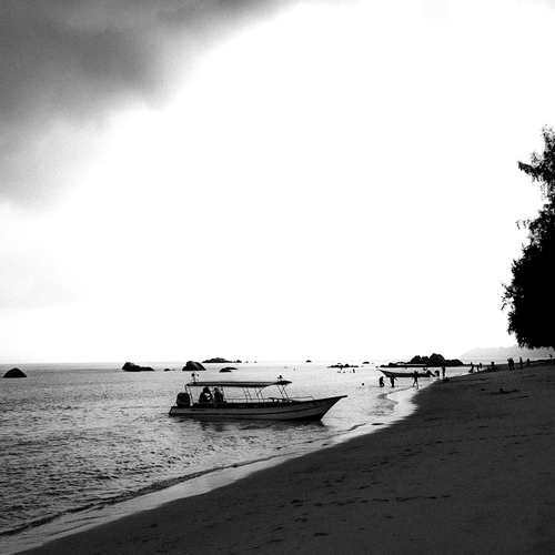 Photo #13957492