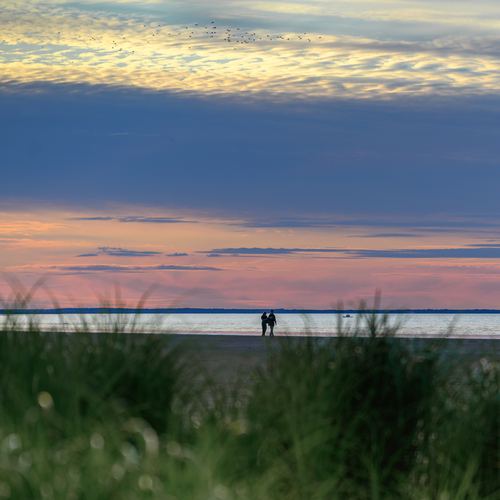Photo #13957560