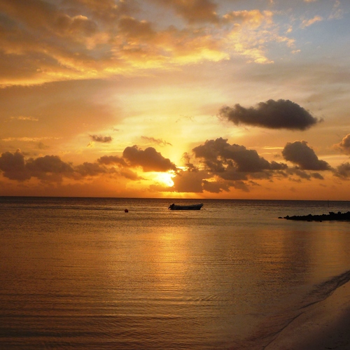 Photo #13957622