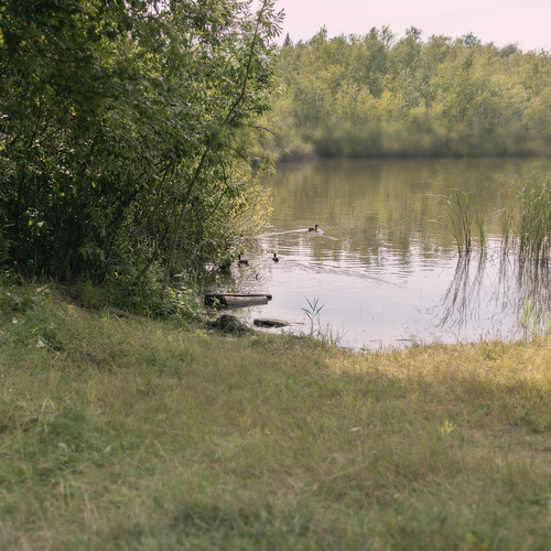 Photo #13957644