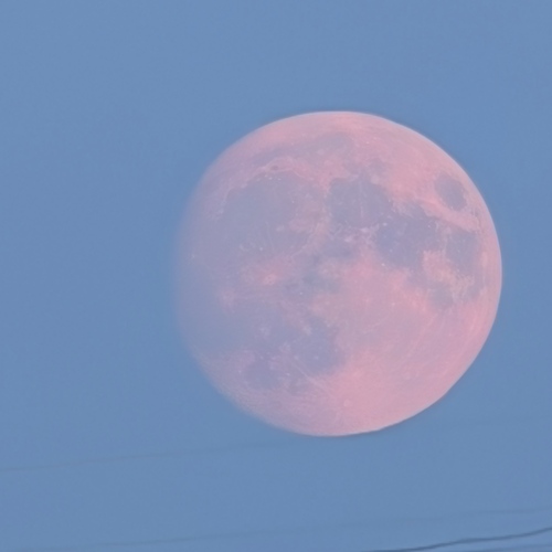 Photo #13957651