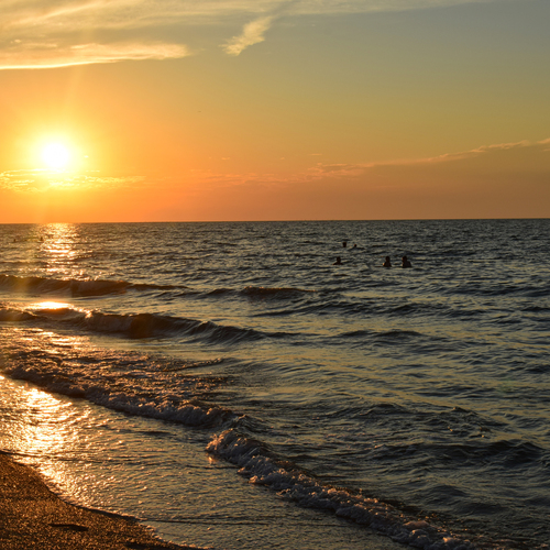 Photo #13957661
