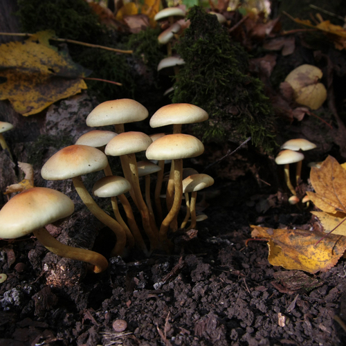 Photo #13957669