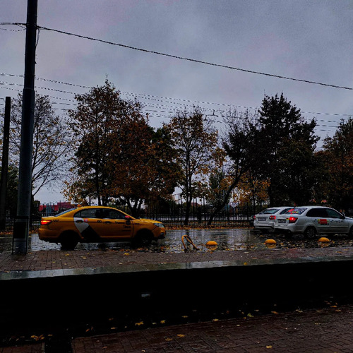 Photo #13957734