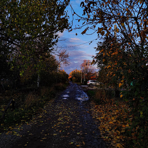 Photo #13957735