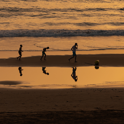 Photo #13957774