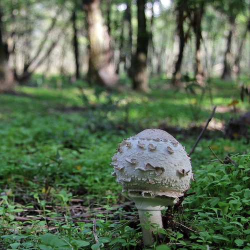 Photo #13957872