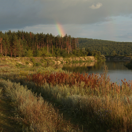 Photo #13957919