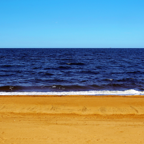 Photo #13958003