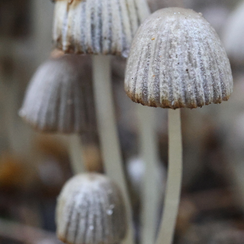 Photo #13958111