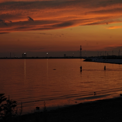 Photo #13958184