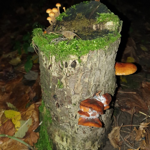 Photo #13958204