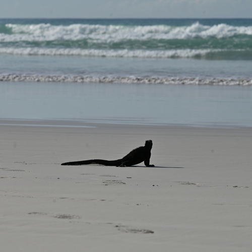 Photo #13958302