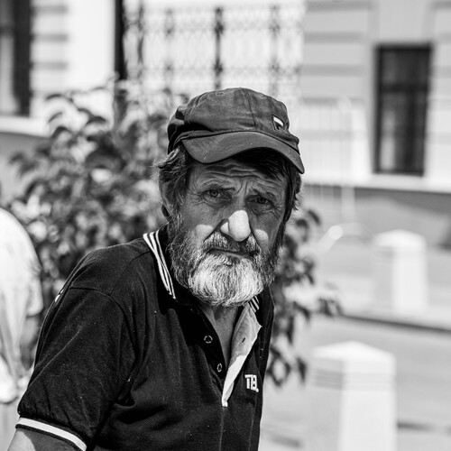 Photo #13958348