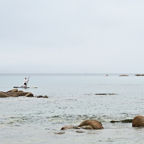 Photo #13958475