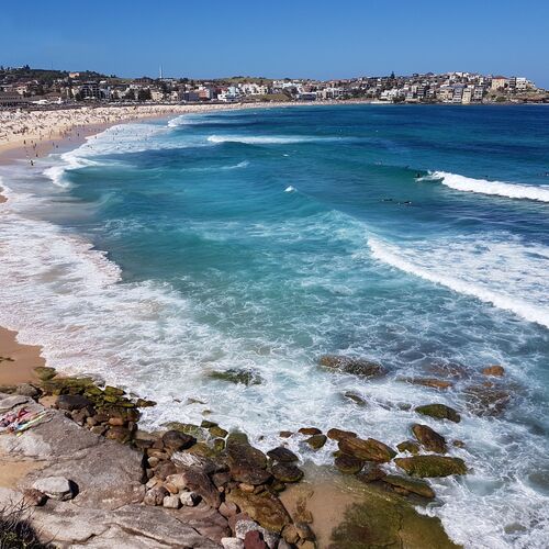 Bondi Beach