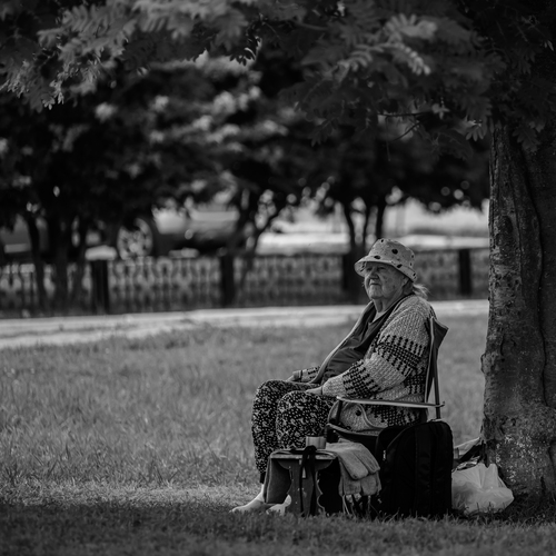Photo #13958559