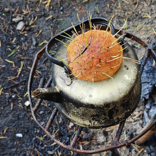 Photo #13958572