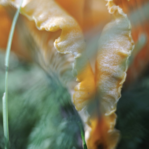 Photo #13958574