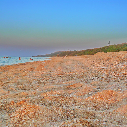 Photo #13958597