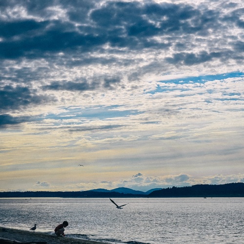 Photo #13958618